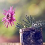 دانلود آهنگ ترکی چوک شوکور بین شوکور سنی بانا ورنه از ایرم دریجی